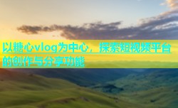 以糖心vlog为中心，探索短视频平台的创作与分享功能