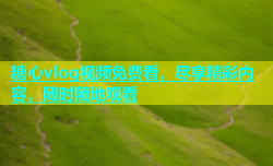 糖心vlog视频免费看，尽享精彩内容，随时随地观看