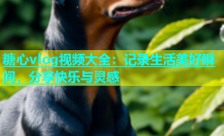 糖心vlog视频大全：记录生活美好瞬间，分享快乐与灵感