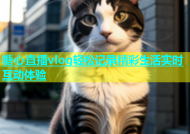 糖心直播vlog轻松记录精彩生活实时互动体验