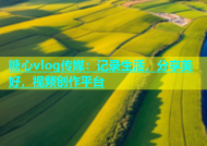 糖心vlog传媒：记录生活，分享美好，视频创作平台