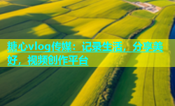 糖心vlog传媒：记录生活，分享美好，视频创作平台