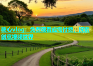 糖心vlog：免费观看或需付费，探索创意视频世界