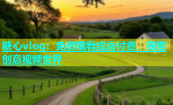 糖心vlog：免费观看或需付费，探索创意视频世界