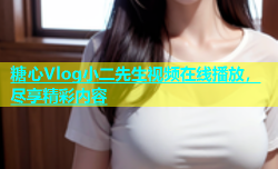 糖心Vlog小二先生视频在线播放，尽享精彩内容
