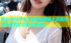 糖心vlog许木学长百度网盘大容量存储共享同步功能全能体验