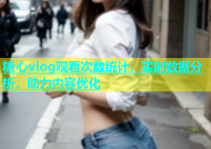 糖心vlog观看次数统计，实时数据分析，助力内容优化