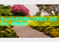糖心vlog官方网站：记录生活，分享精彩，发现新世界