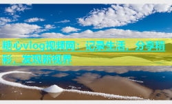 糖心vlog视频网：记录生活，分享精彩，发现新视界