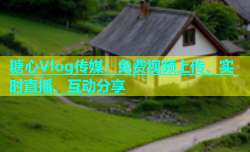 糖心Vlog传媒：免费视频上传、实时直播、互动分享