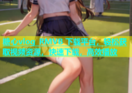 糖心vlog RMVB 下载平台，轻松获取视频资源，快速下载，高效播放