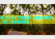 糖心vlog：芒果回家，记录生活的每一刻，分享美好瞬间