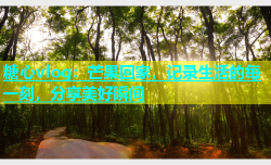 糖心vlog：芒果回家，记录生活的每一刻，分享美好瞬间