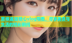 黑椒盖饭糖心vlog观看，尽享美食与生活的精彩瞬间
