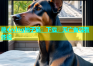 糖心vlog柚子猫：下载，无广告观看体验