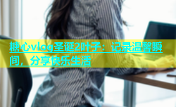 糖心vlog圣诞2叶子：记录温馨瞬间，分享快乐生活