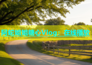 阿蛇姐姐糖心Vlog：在线播放