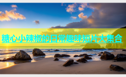 糖心小辣椒的日常趣味短片大集合