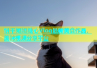 饼干姐姐糖心Vlog最新美食作品，美味视频分享平台