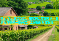 糖心Vlog解锁00后，甜腻日常高甜放送，独家视频等你一键开启，无限精彩尽收眼底