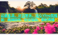 记录生活，分享快乐，糖心Vlog在线版：视频创作、社交互动、实时直播