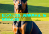 糖心Vlog传媒：高清视频平台，轻松编辑与分享