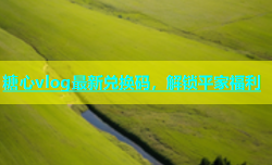糖心vlog最新兑换码，解锁平家福利