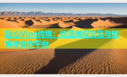 糖心Vlog传媒：动漫版权交易与新媒体合作平台