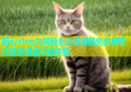 糖心vlog兑换码永久激活码免费领取快速激活全功能体验