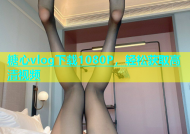 糖心vlog下载1080P，轻松获取高清视频