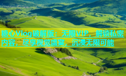 糖心Vlog破解版：无限VIP，解锁私密内容，尽享视觉盛宴，沉浸无限可能