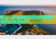 糖心vlog教你轻松做鸡蛋饼美味早餐快速上手秘诀揭秘