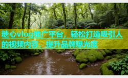 糖心vlog推广平台，轻松打造吸引人的视频内容，提升品牌曝光度