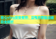 糖心vlog安安老师：雷电将军输出辅助全解析