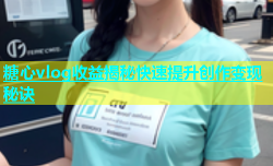 糖心vlog收益揭秘快速提升创作变现秘诀