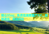 糖心Vlog：免费在线看国产AV、自拍流出、极品探花