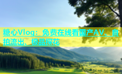 糖心Vlog：免费在线看国产AV、自拍流出、极品探花