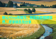 糖心Vlog传媒污，探索创意视频世界，尽享娱乐与分享