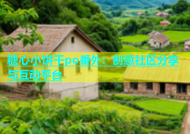 糖心小饼干po番外：创意社区分享与互动平台