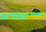 糖心vlog摄影师的平台：轻松记录生活瞬间，分享创意视频