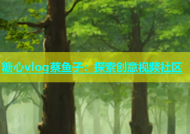 糖心vlog蔡鱼子：探索创意视频社区