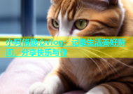小阿俏糖心vlog：记录生活美好瞬间，分享快乐与你