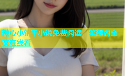 糖心小饼干小说免费阅读，笔趣阁全文在线看