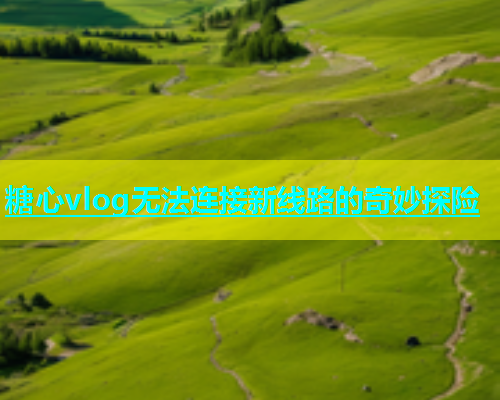 糖心vlog无法连接新线路的奇妙探险  第2张