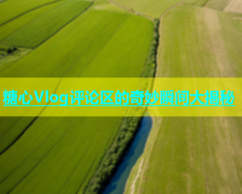 糖心Vlog评论区的奇妙瞬间大揭秘  第2张