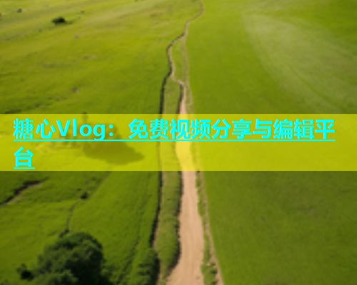 糖心Vlog：免费视频分享与编辑平台  第1张