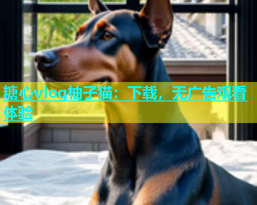糖心vlog柚子猫：下载，无广告观看体验  第1张