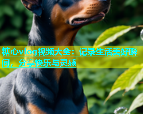 糖心vlog视频大全：记录生活美好瞬间，分享快乐与灵感  第1张