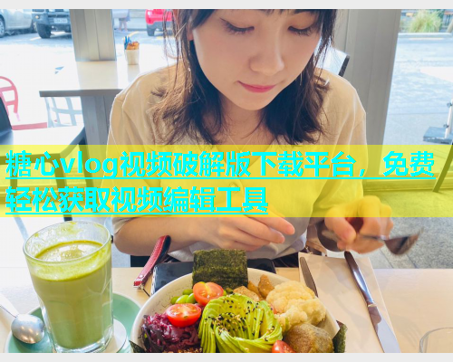 糖心vlog视频破解版下载平台，免费轻松获取视频编辑工具  第2张