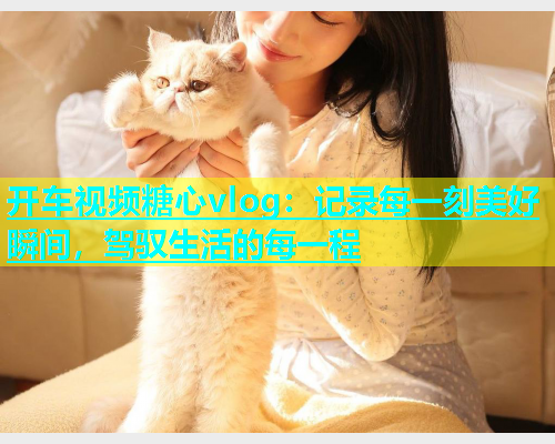 开车视频糖心vlog：记录每一刻美好瞬间，驾驭生活的每一程  第2张